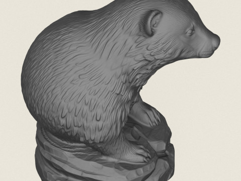 Wild Badger Bust 3D Print Model