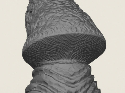 Wild Bear Bust 3D Print Model