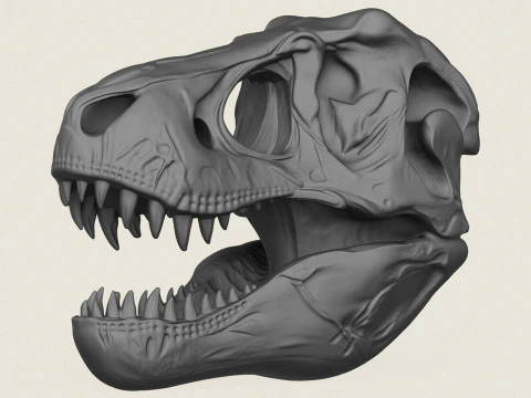 टायरानोसॉरस डायनासोर खोपड़ी 3D प्रिंट मॉडल