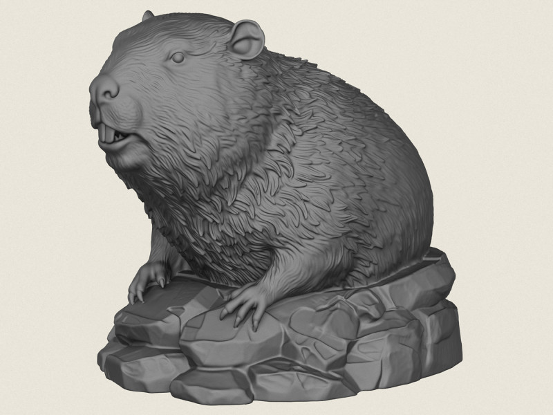 Patung Berang-berang Liar Model Cetak 3D .c4d .max .obj .3ds .fbx .stl .blend 