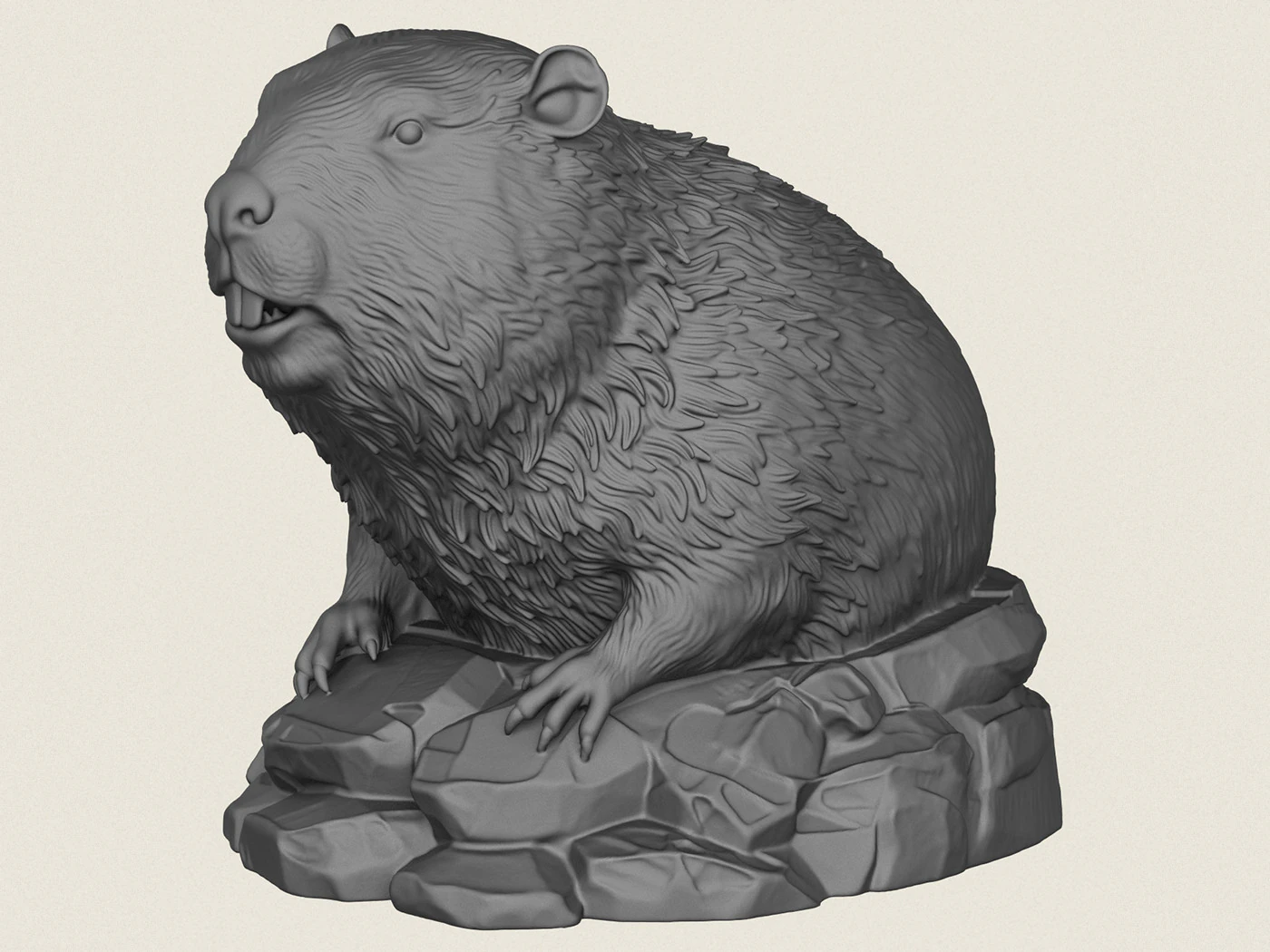 Wild Beaver Bust 3D Print Model .c4d .max .obj .3ds .fbx .stl .blend