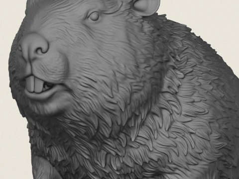 Wild Beaver Bust 3D Print Model