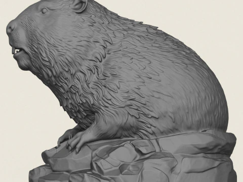 Wild Beaver Bust 3D Print Model