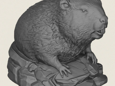 Wild Beaver Bust 3D Print Model