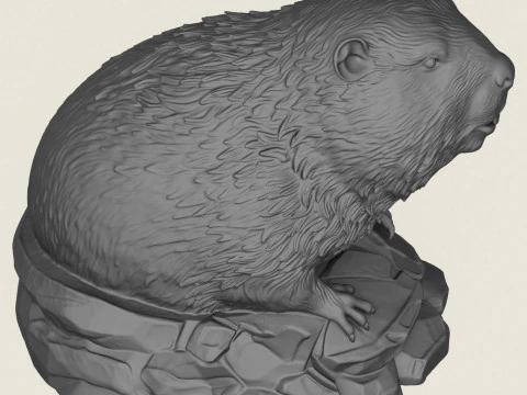 Wild Beaver Bust 3D Print Model