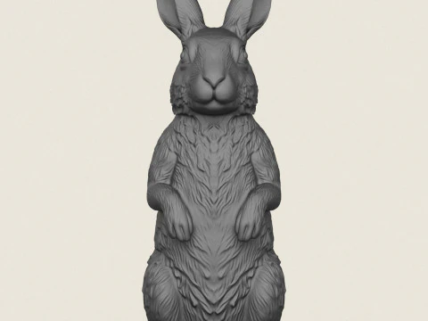 Rabbit Standing 3D Print Model