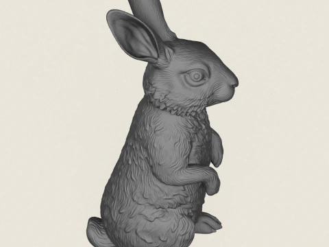 Rabbit Standing 3D Print Model