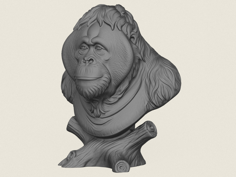 Orang-oetan aap buste 3D printmodel .c4d .max .obj .3ds .fbx .stl .blend 