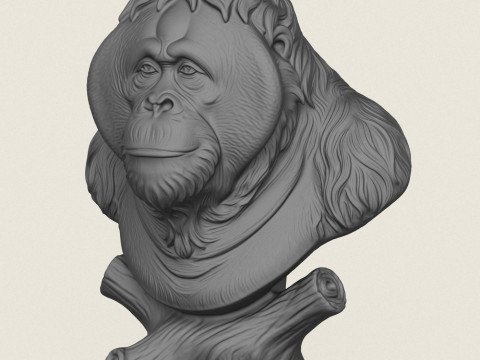 Orang-oetan aap buste 3D printmodel