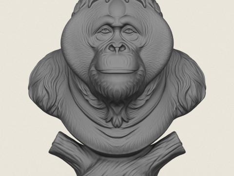 Orang-oetan aap buste 3D printmodel