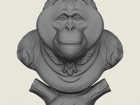オランウータン モンキーの胸像 3Dプリントモデル