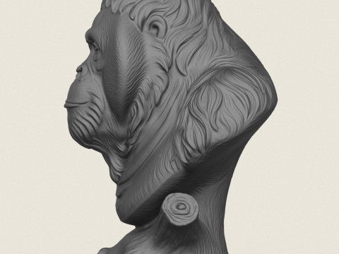 Orang-oetan aap buste 3D printmodel