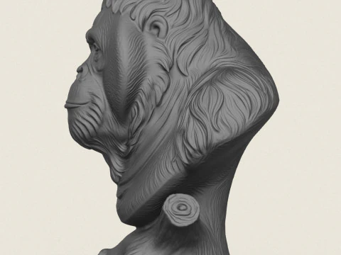 オランウータン モンキーの胸像 3Dプリントモデル