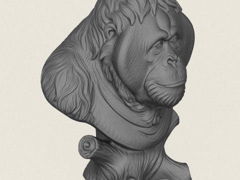 Orang-oetan aap buste 3D printmodel
