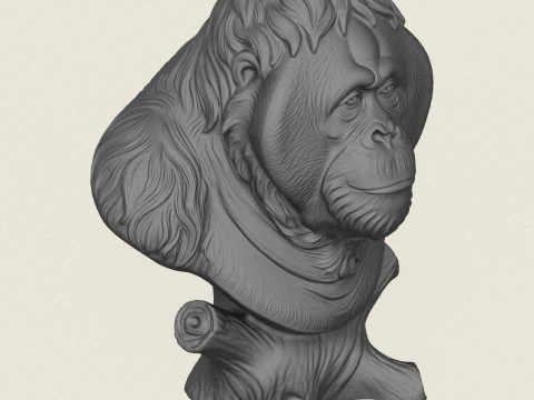 オランウータン モンキーの胸像 3Dプリントモデル