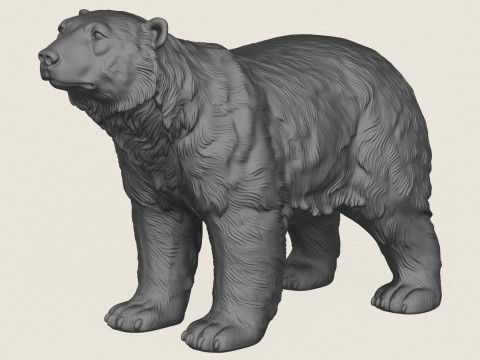 Ijsbeer 3D printmodel