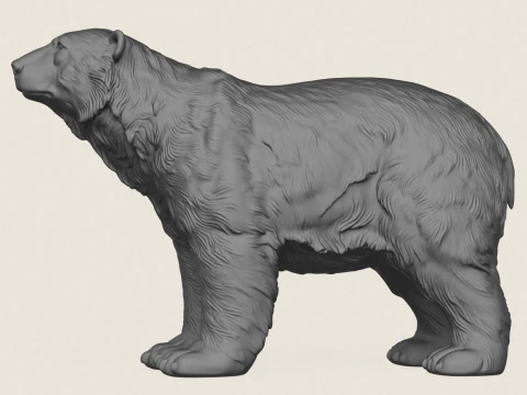 Eisb&auml;r 3D Druckmodell