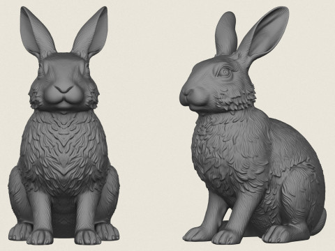 Rabbit 3D Print Model