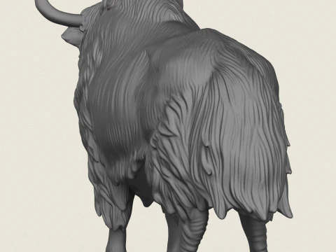 Yak de l'Himalaya Modèles 3D en vedette