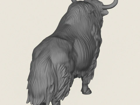 Yak de l'Himalaya Modèles 3D en vedette