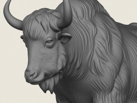 Himalayan Yak Running 3D Print Model