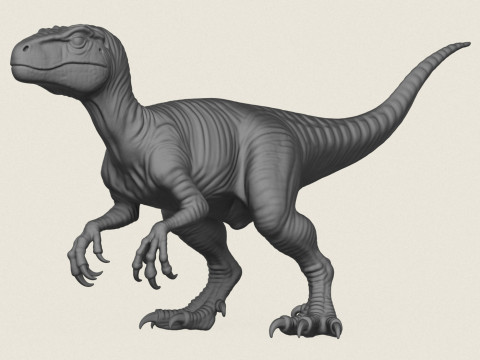 वेलोसिरैप्टर डायनासोर 3D प्रिंट मॉडल