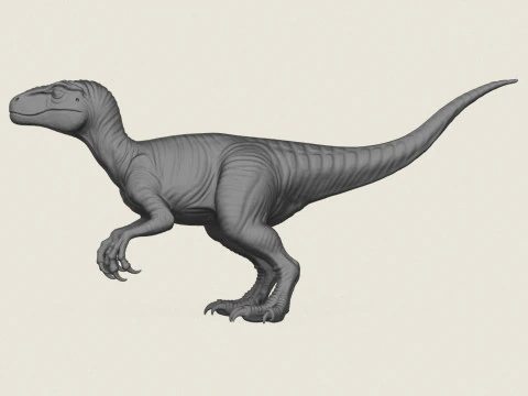 Velociraptor Dinosaur 3D Print Model