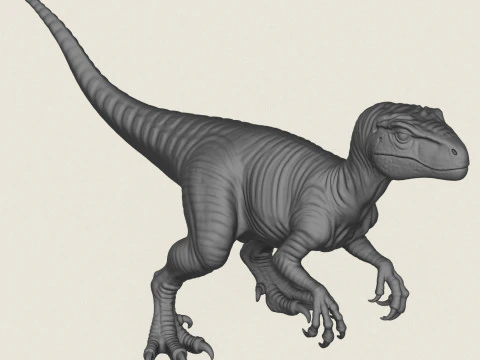 Velociraptor Dinosaur 3D Print Model