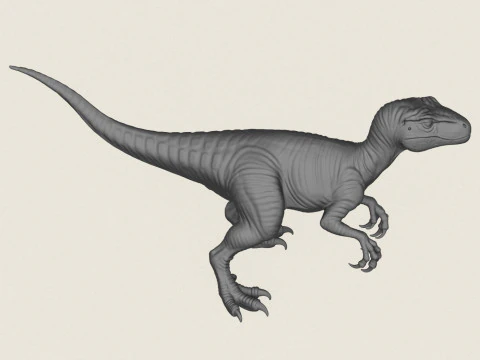 Velociraptor Dinosaur 3D Print Model
