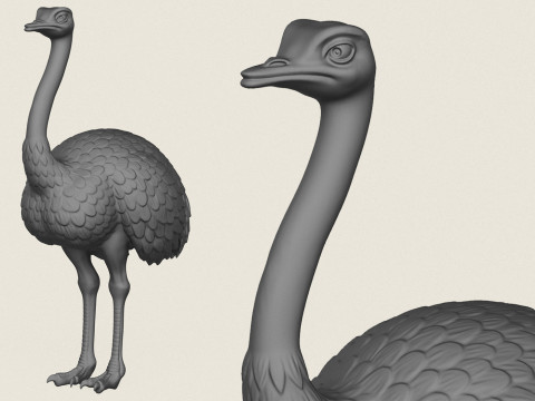 Struisvogel vogel 3D printmodel
