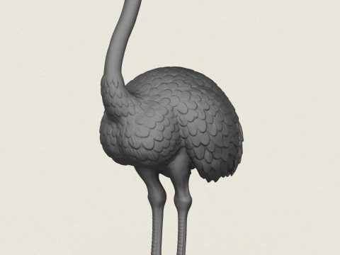 鸵鸟鸟 3D 打印模型