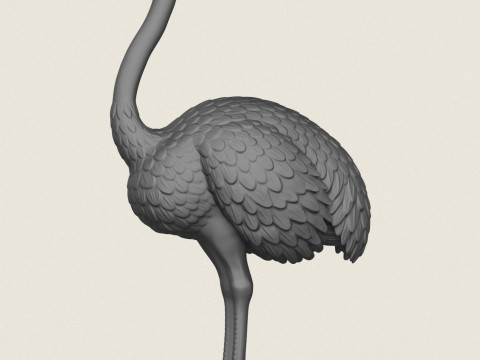 Strau&szlig;envogel 3D Druckmodell