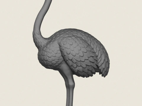 鸵鸟鸟 3D 打印模型