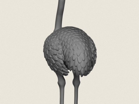 Strau&szlig;envogel 3D Druckmodell