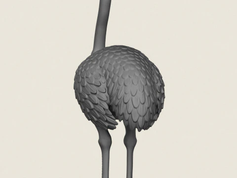 鸵鸟鸟 3D 打印模型