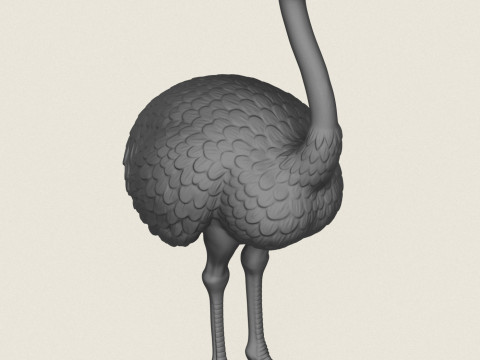 Strau&szlig;envogel 3D Druckmodell