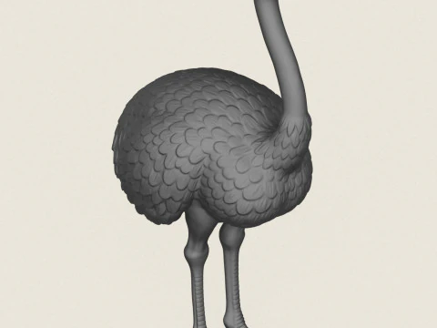 鸵鸟鸟 3D 打印模型