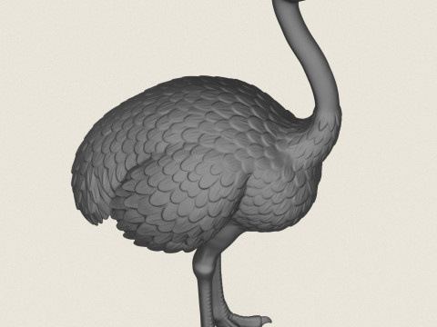 Strau&szlig;envogel 3D Druckmodell