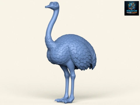 Uccello dello struzzo Modello di stampa 3D