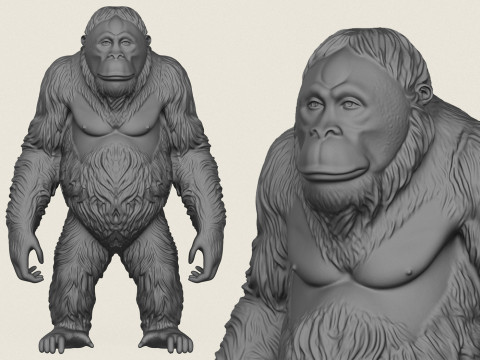 Orangutan Maymunu 3D Baskı Modeli