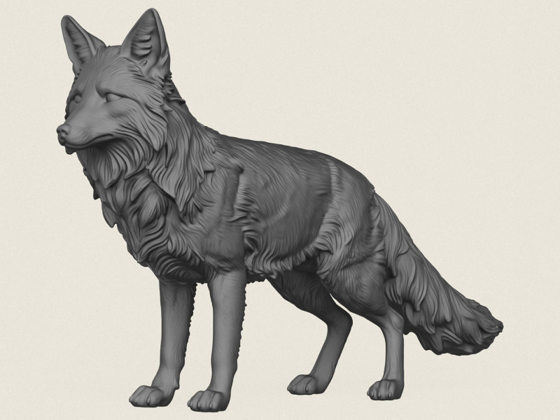 Wilder Fuchs 3D Druckmodell .c4d .max .obj .3ds .fbx .stl .blend 