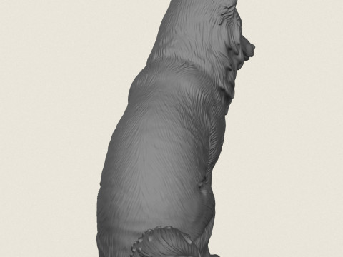 Wild Fox Sitting 3D Print Model