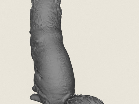 Wild Fox Sitting 3D Print Model