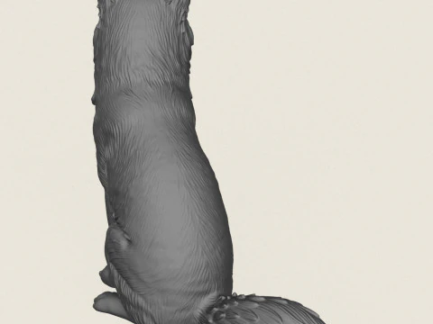 Seduta di volpe selvaggia Modello di stampa 3D