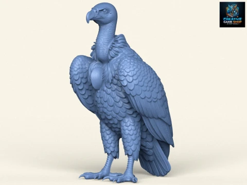 Uccello avvoltoio selvatico Modello di stampa 3D