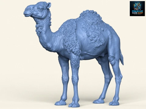Camel 3D Print Model