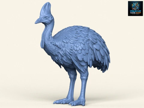 p&aacute;jaro casuario Modelo de impresión 3D
