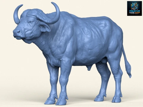 Indian Buffalo 3D Print Model