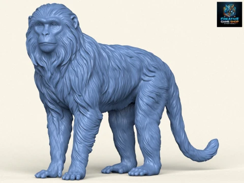Himalaya Kar Maymunu 3D Baskı Modeli