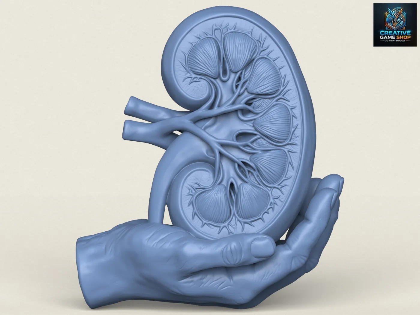 Decorative Kidney Sculpture 3D Print Model .c4d .max .obj .3ds .fbx .stl .blend 